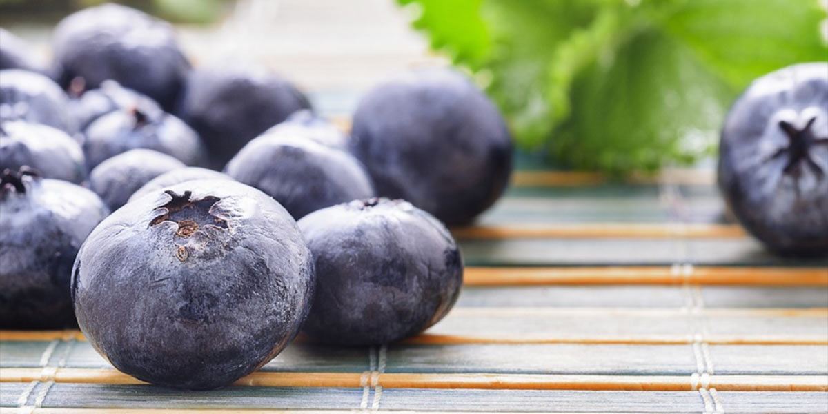 Mirtilli, le soluzioni Unitec spingono i consumi